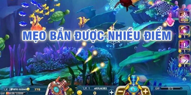 betvisa đá gà