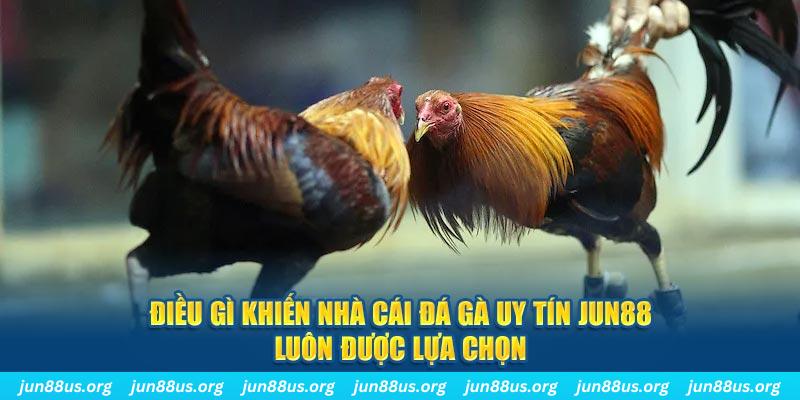betvisa bắn cá 30