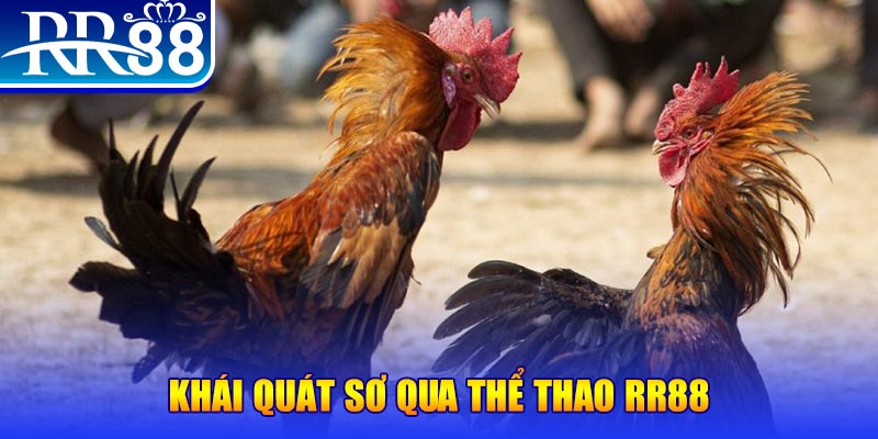 betvisa baccarat bịp như thế nào