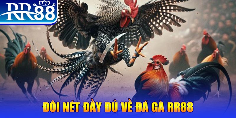 betvisa 1 slot là gì