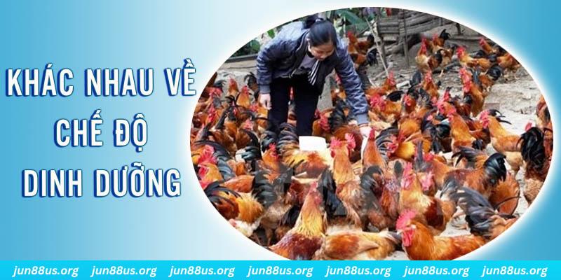 betvisa xổ số thứ sáu hàng tuần