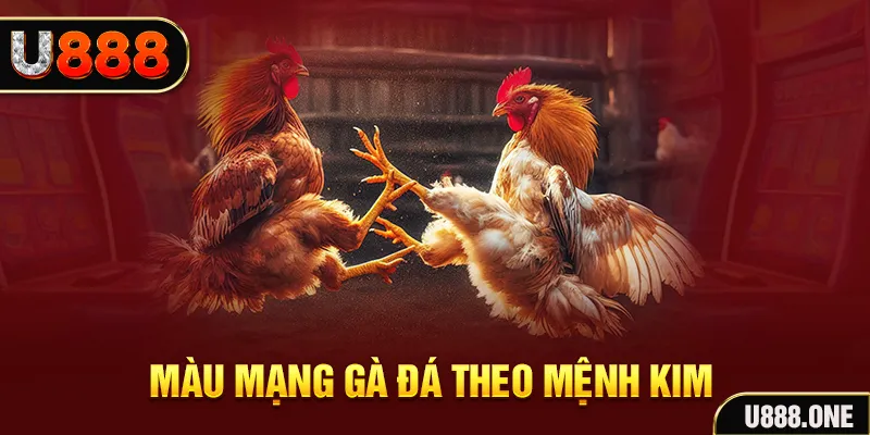 betvisa gà chọi tiêu phong