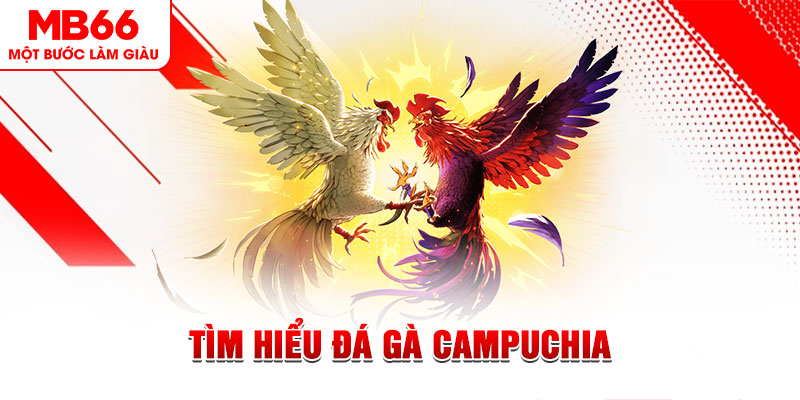 betvisa tại sao không tải được nổ hũ