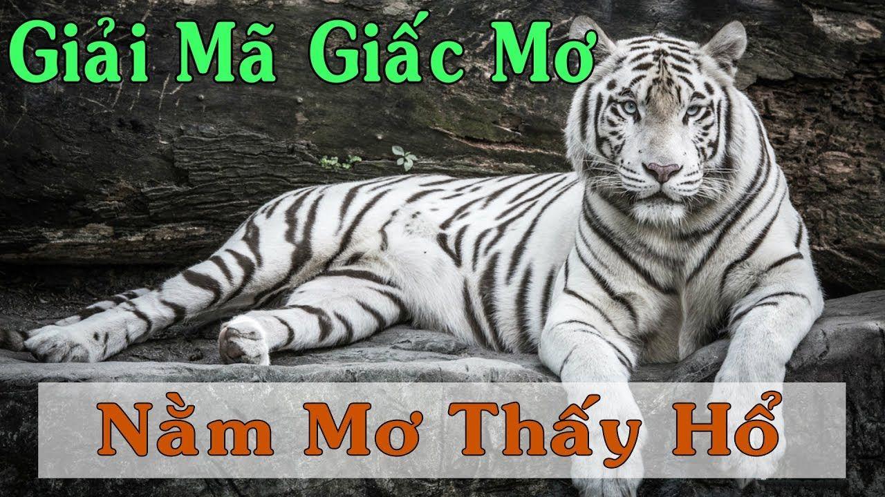 betvisa xổ số miền trung