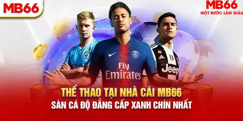 betvisa HB Điện Tử