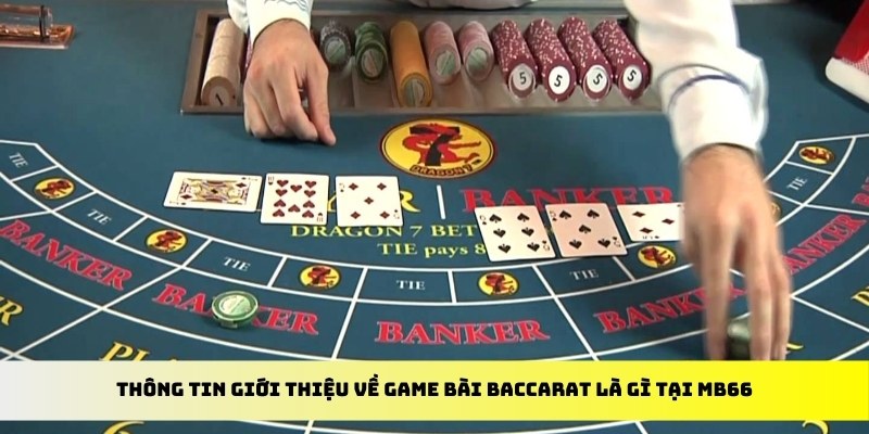 betvisa xổ số trực tiếp miền bắc