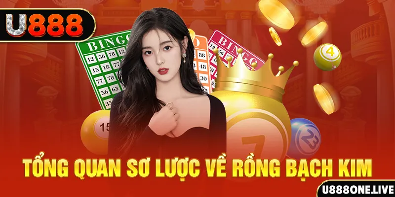 betvisa how to win at slot machines