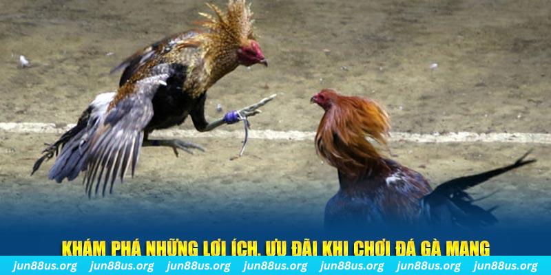 betvisa Tài Xỉu 2