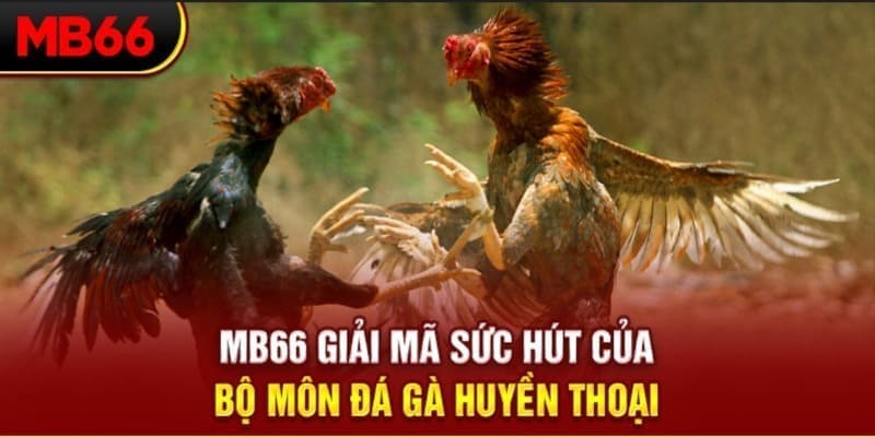 betvisa long bảo trong baccarat là gì