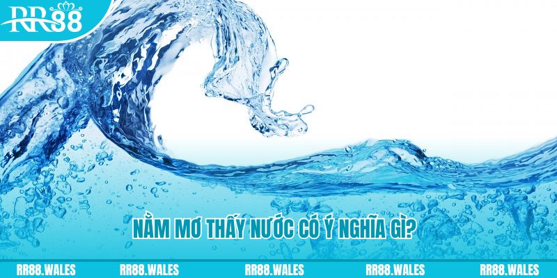 betvisa đá gà trực tiếp thomo