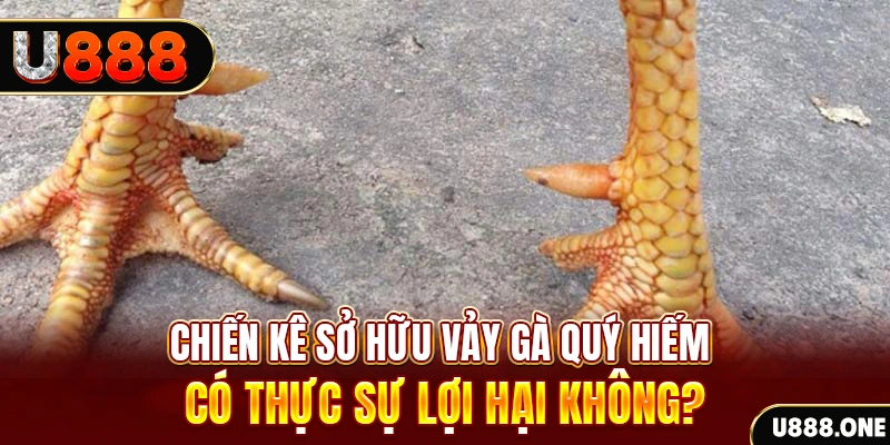 betvisa game cá cược máy bay