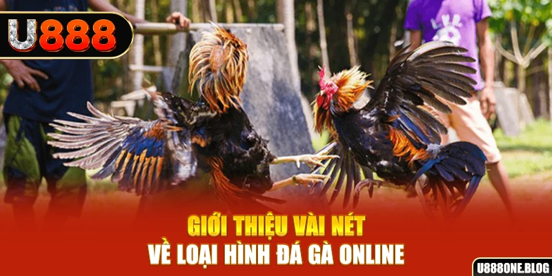 betvisa xổ số miền nam thứ ba