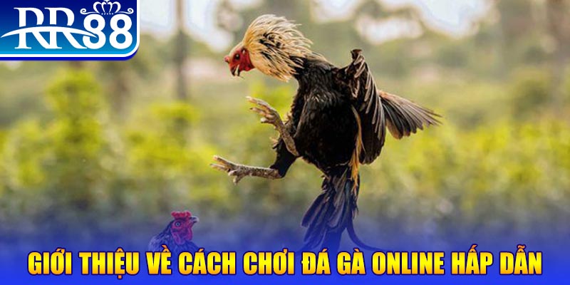 betvisa nổ hũ 2 mặt là gì