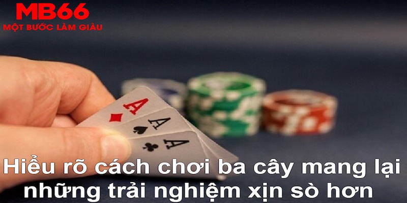 betvisa xổ số quảng trị