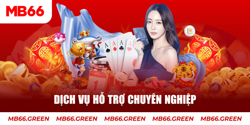 betvisa gà chọi cậu thanh