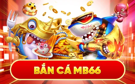 betvisa Cỡ bảy