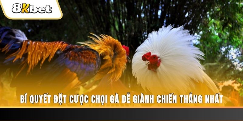 betvisa may club nổ hũ