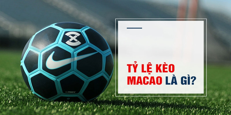 betvisa Trăm Knorr