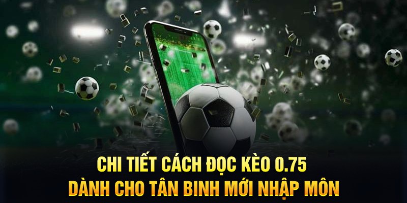 betvisa sổ xô miên nam hôm nay