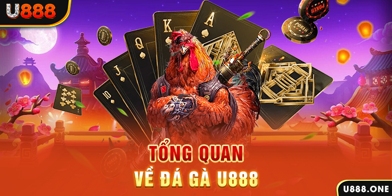 betvisa what is casino bonus wagering