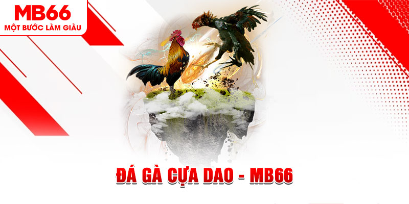 betvisa xổ số miền bắc thứ năm hàng tuần
